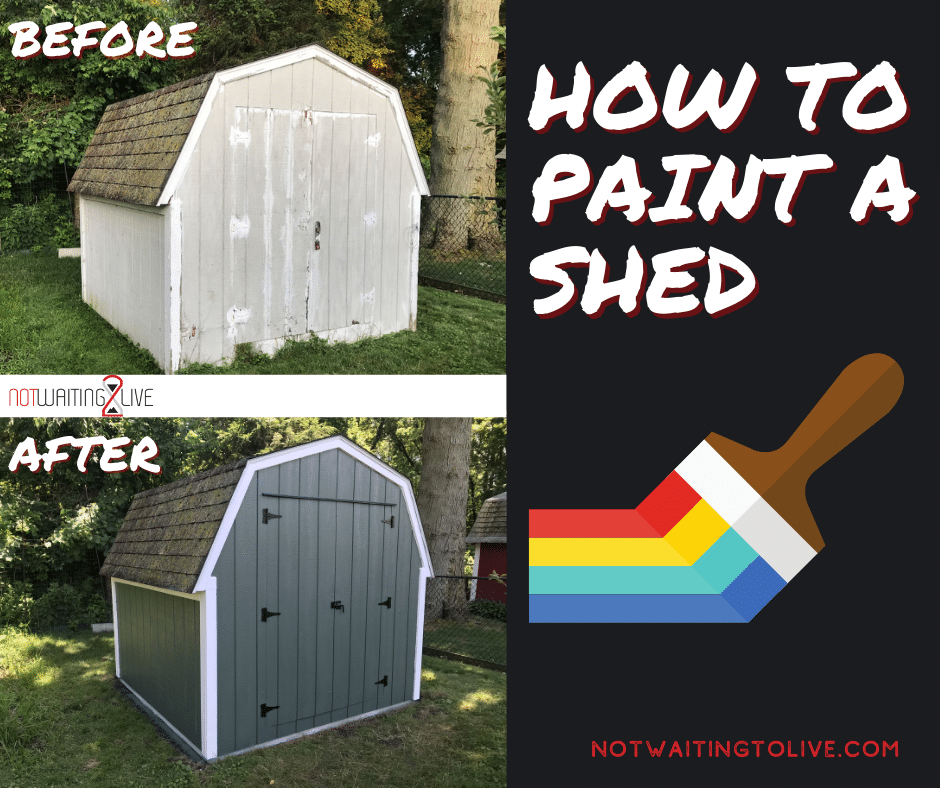 How to Paint a Shed not waiting to live